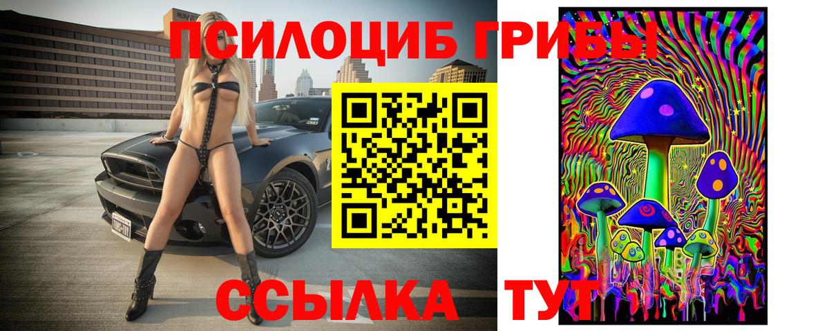 Псилоцибиновые грибы Psilocybine cubensis Шадринск