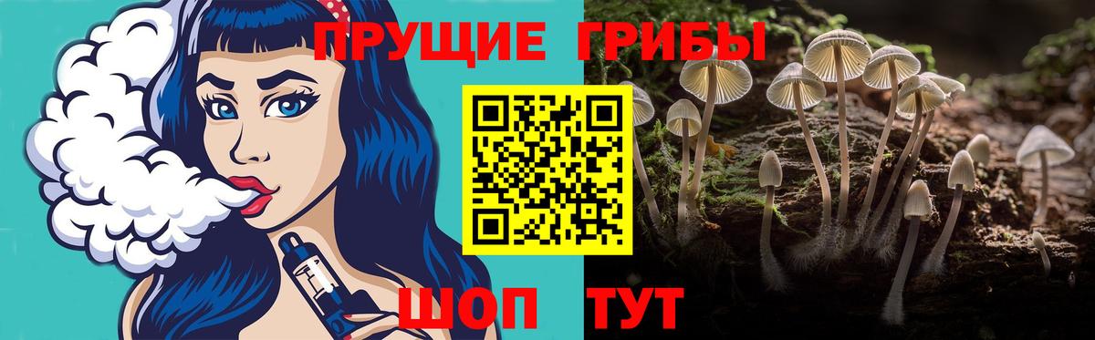 Галлюциногенные грибы мухоморы  Шадринск  Псилоцибиновые грибы Psilocybine cubensis 