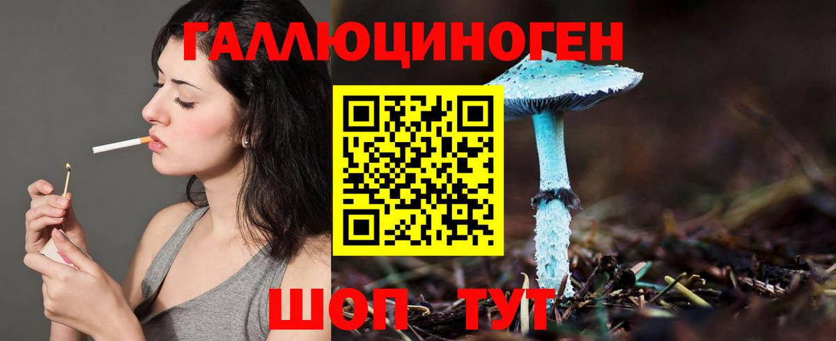 Галлюциногенные грибы Magic Shrooms  Вход с VPN  как найти   Галлюциногенные грибы Psilocybine cubensis  Шадринск 